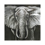 Handmade Abstract Animals Oil Painting NAYVOANI0003
